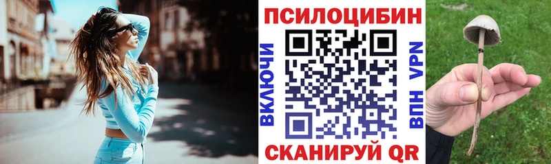 MEGA сайт  Черногорск  Галлюциногенные грибы Magic Shrooms 
