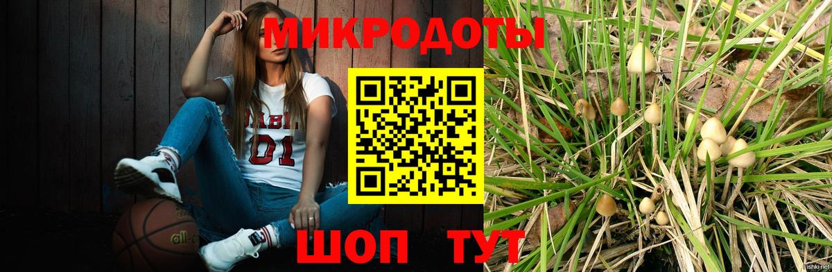 Псилоцибиновые грибы Psilocybine cubensis  Галлюциногенные грибы ЛСД  Вход с VPN  Черногорск 
